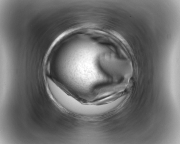 X0000085801342200704091442