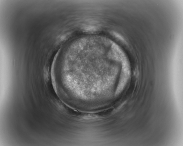 X0000085801348200704091441