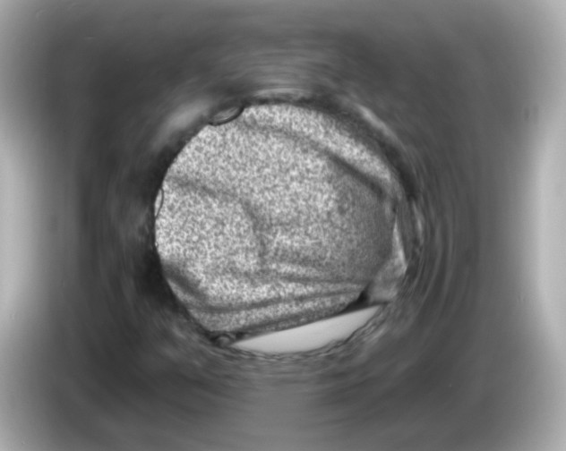 X0000085801351200704091441