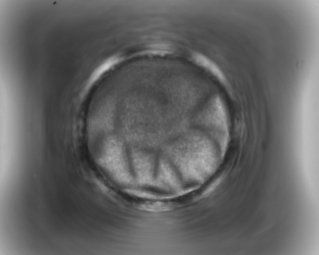 X0000085801352200704091441