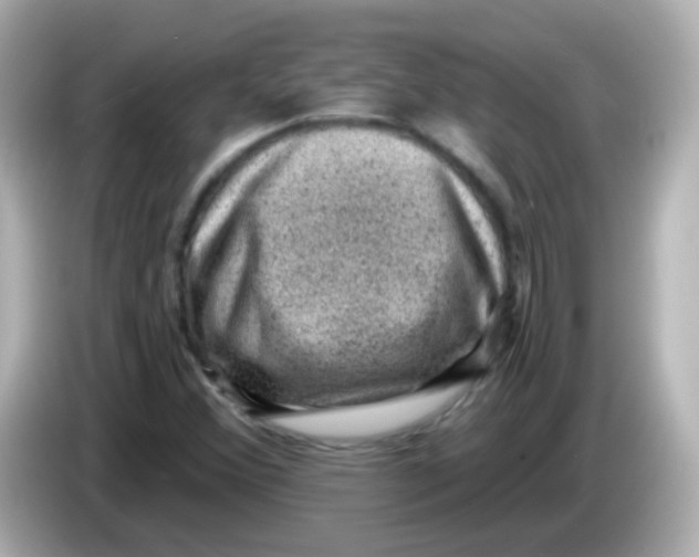 X0000085801356200704091441