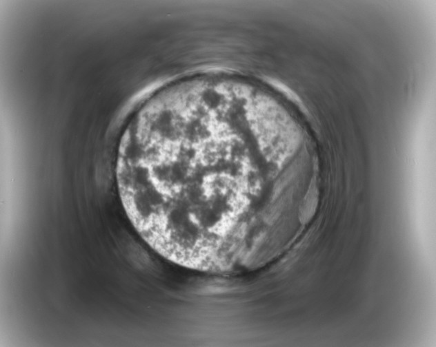 X0000085801359200704091441