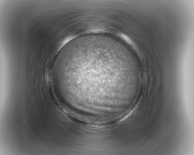 X0000085801361200704091441