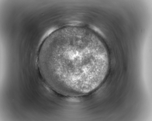 X0000085801362200704091441