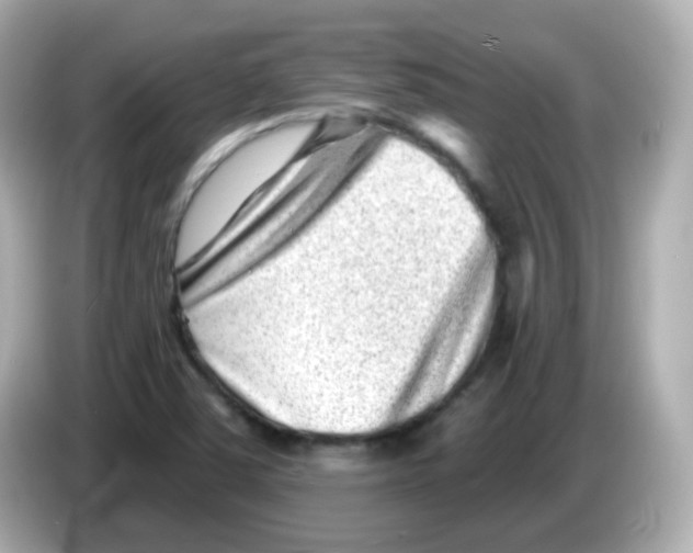 X0000085801363200704091441