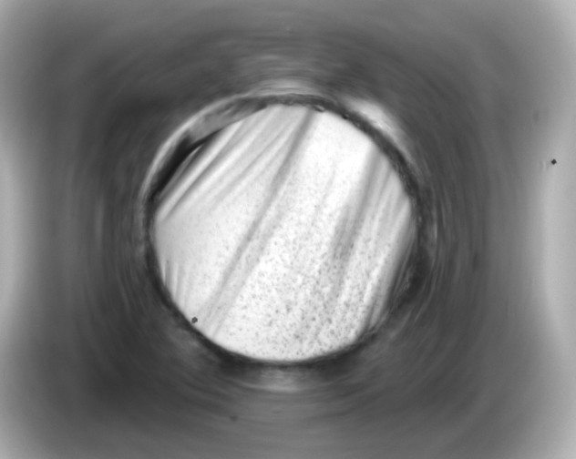 X0000085801364200704091441