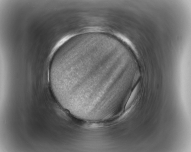 X0000085801365200704091441