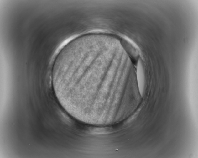 X0000085801367200704091441