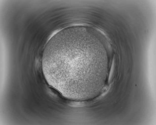 X0000085801369200704091441