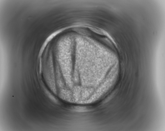 X0000085801371200704091441