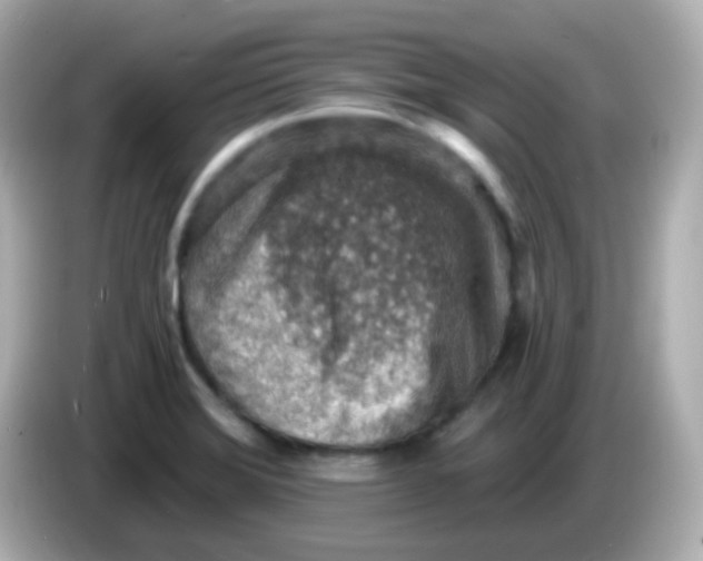 X0000085801372200704091441