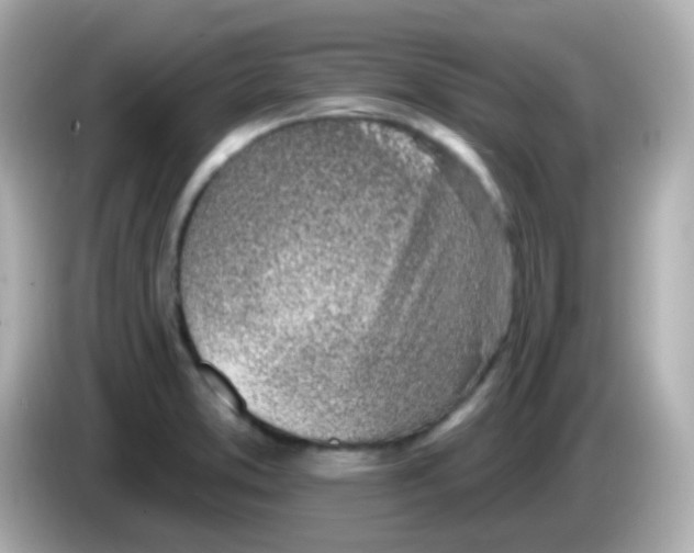 X0000085801373200704091441