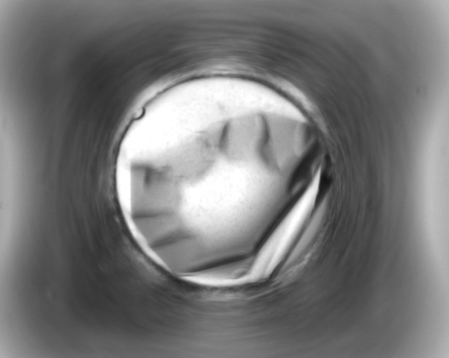 X0000085801374200704091441