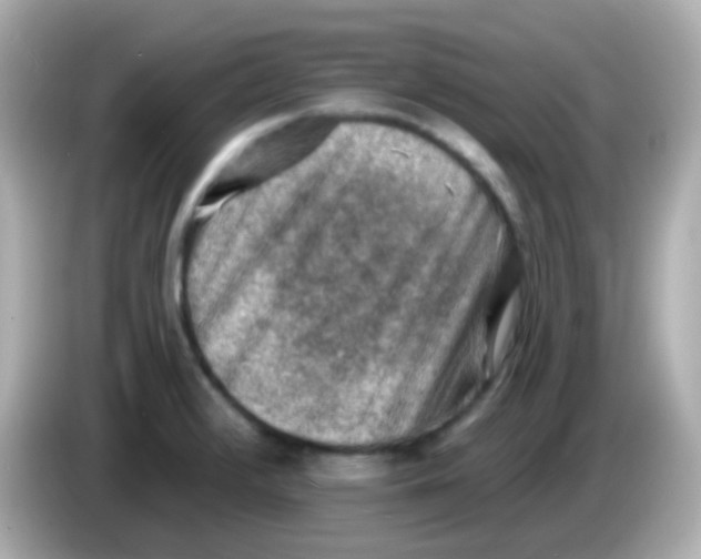 X0000085801376200704091441