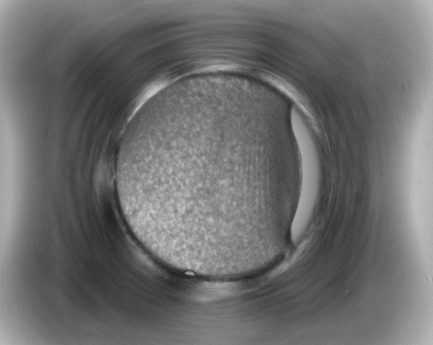 X0000085801377200704091441