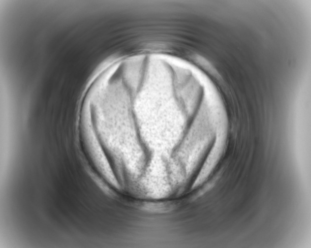 X0000085801378200704091441