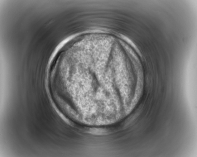 X0000085801379200704091441