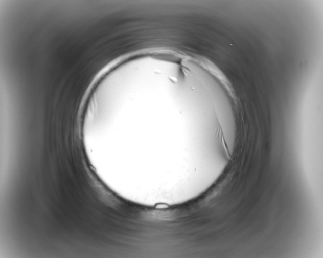 X0000085801380200704091441