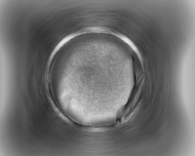 X0000085801381200704091441