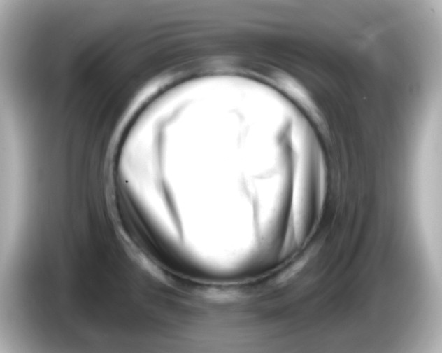 X0000085801384200704091441