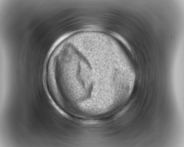 X0000085801387200704091441