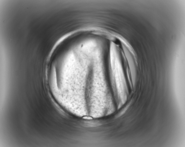 X0000085801388200704091441