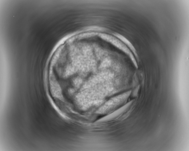 X0000085801391200704091441