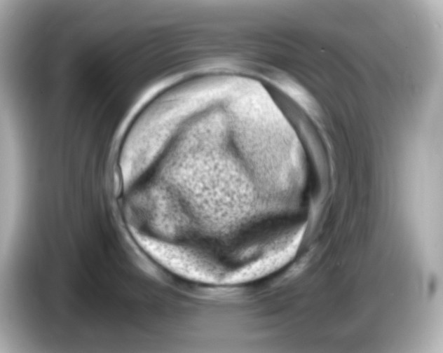 X0000085801392200704091441