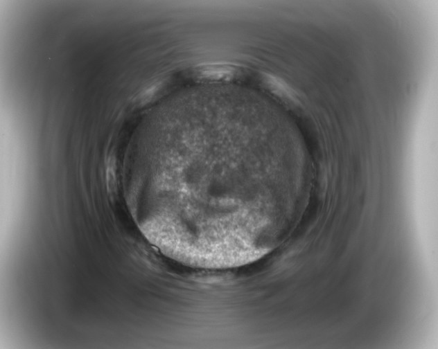 X0000085801394200704091440