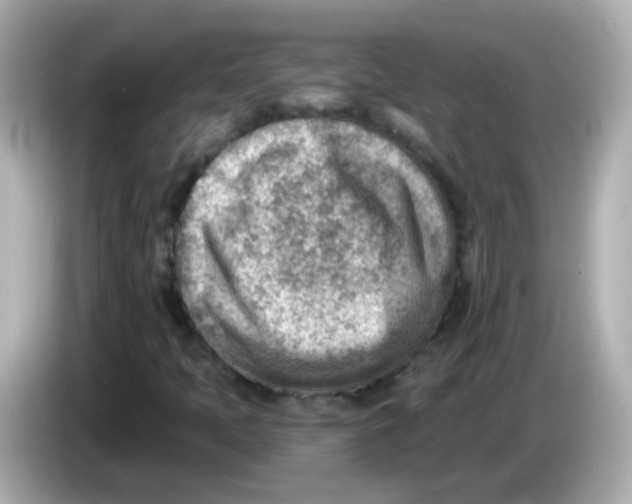 X0000085801397200704091440