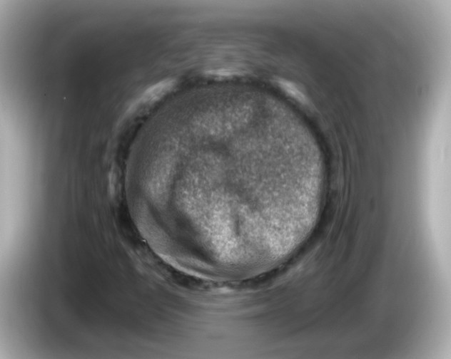 X0000085801398200704091440