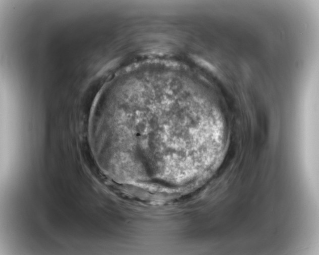 X0000085801399200704091440