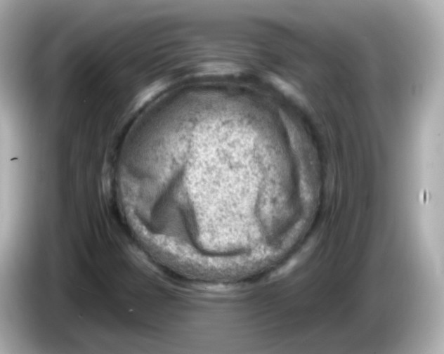 X0000085801401200704091440