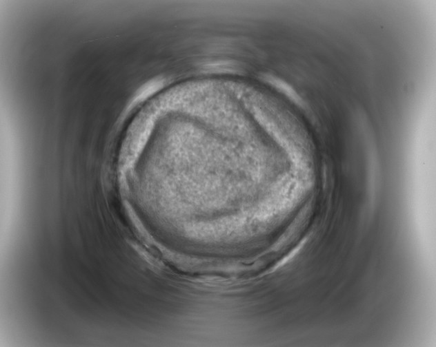 X0000085801405200704091440