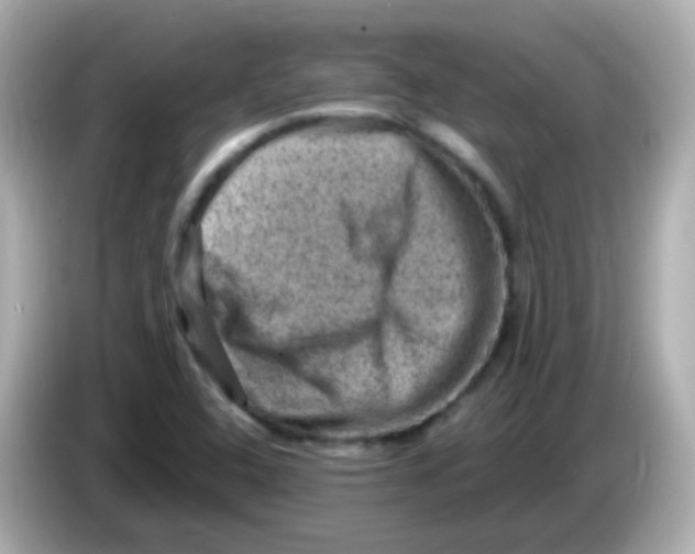 X0000085801408200704091440