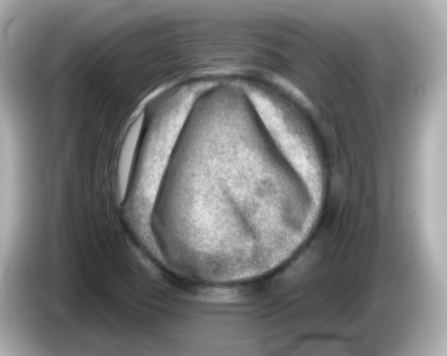 X0000085801409200704091440