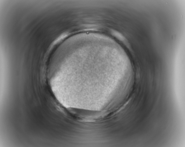 X0000085801411200704091440