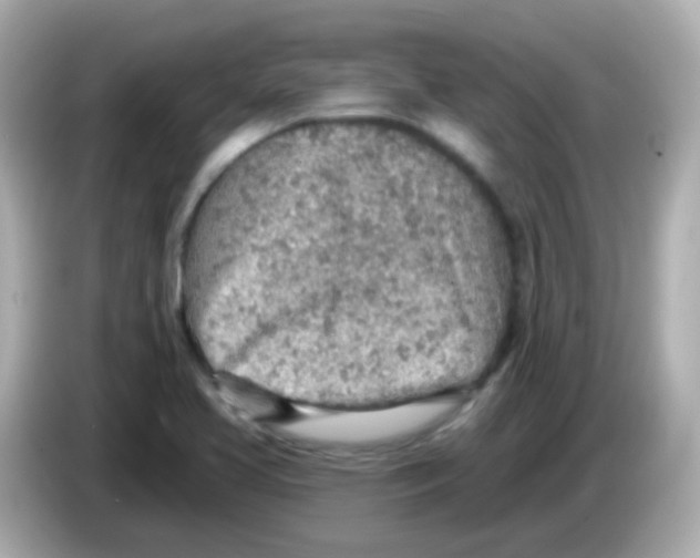 X0000085801413200704091440