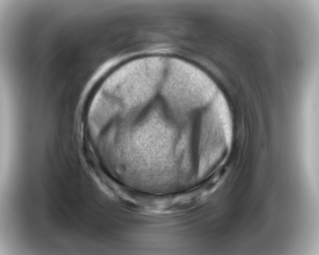 X0000085801414200704091440