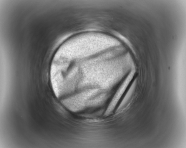 X0000085801415200704091440