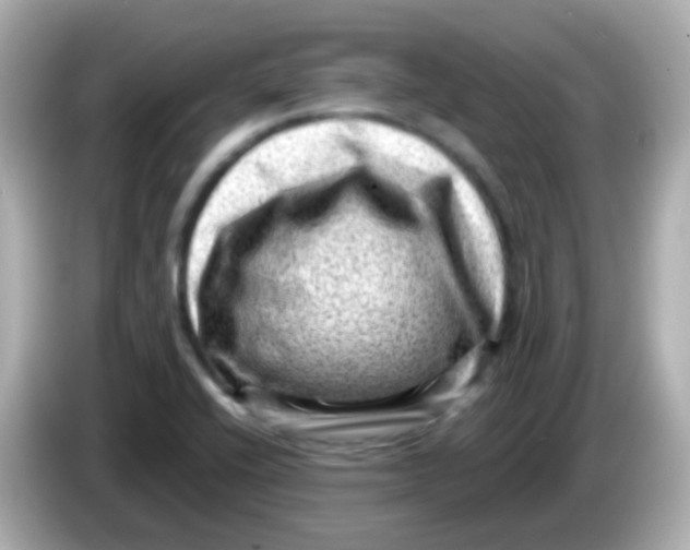 X0000085801416200704091440