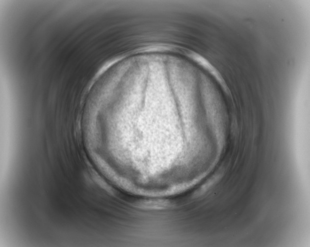 X0000085801417200704091440