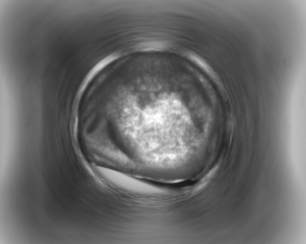 X0000085801418200704091440