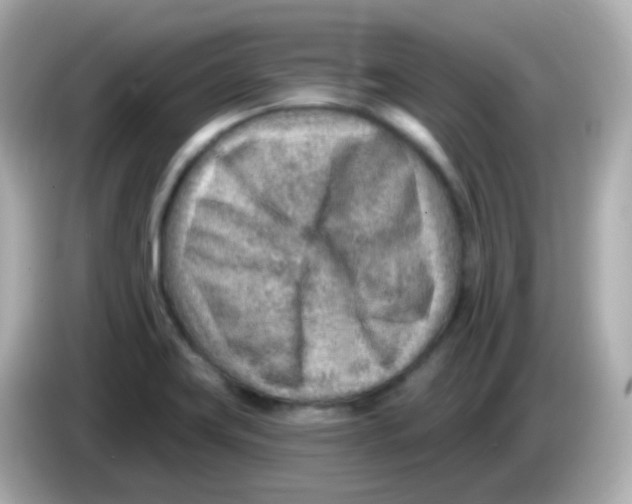 X0000085801419200704091440