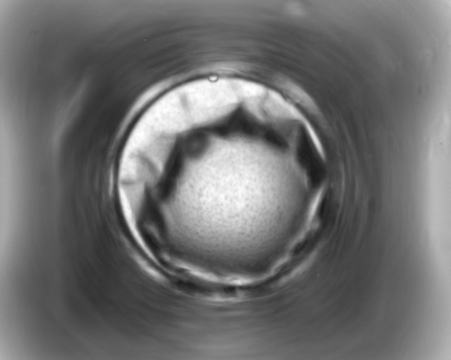 X0000085801420200704091440