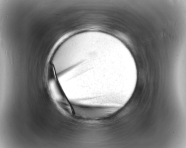 X0000085801424200704091440