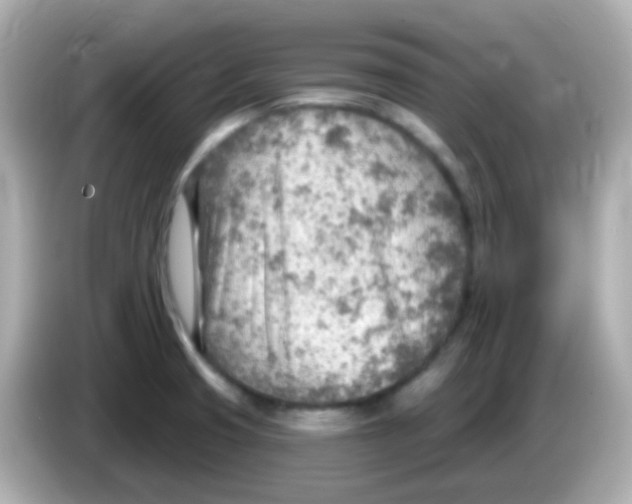 X0000085801425200704091440