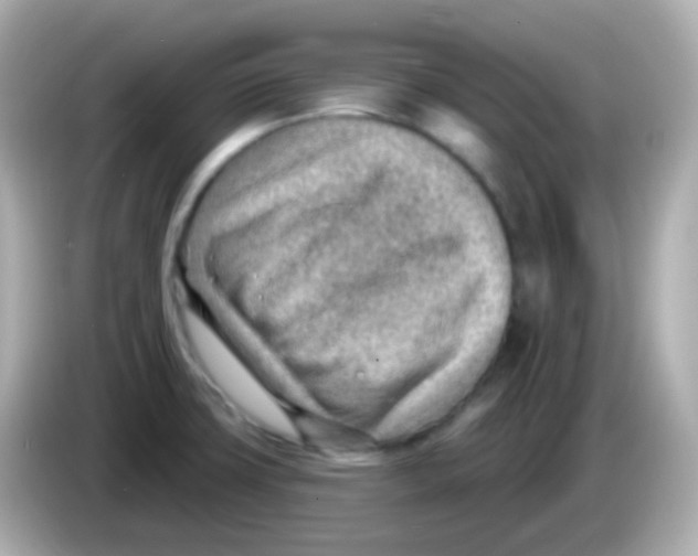 X0000085801427200704091440