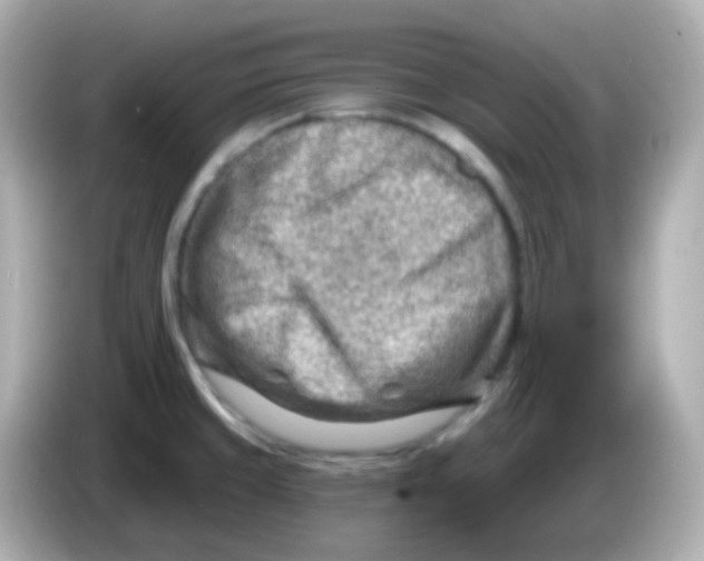 X0000085801429200704091440