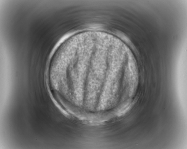 X0000085801432200704091440